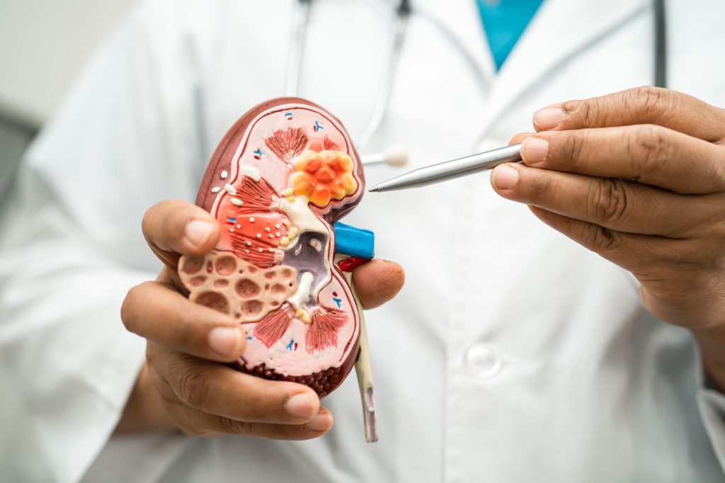 insuficiência renal