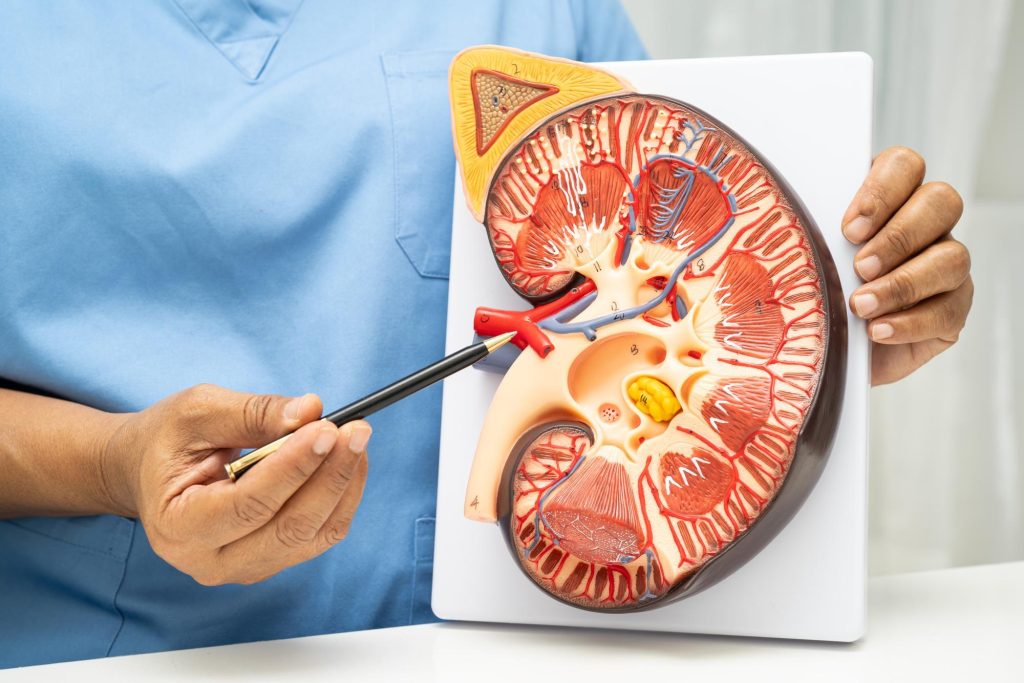 insuficiência renal