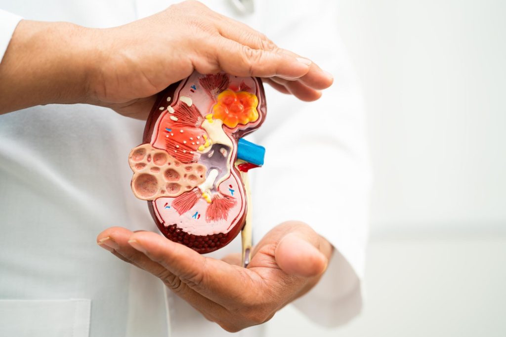 Insuficiência renal