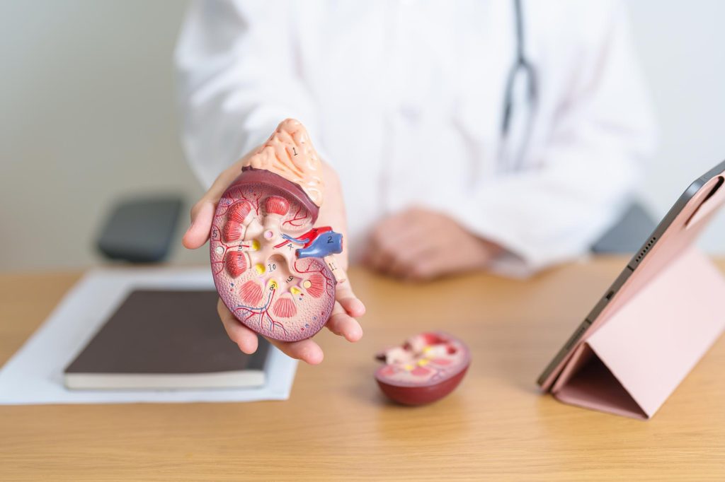 Insuficiência renal