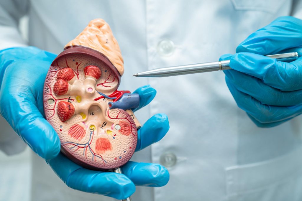 Transplante Renal
